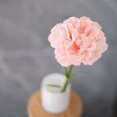 Flowrette fleurs artificielles pretium. Oeillet rose poudré flowrette