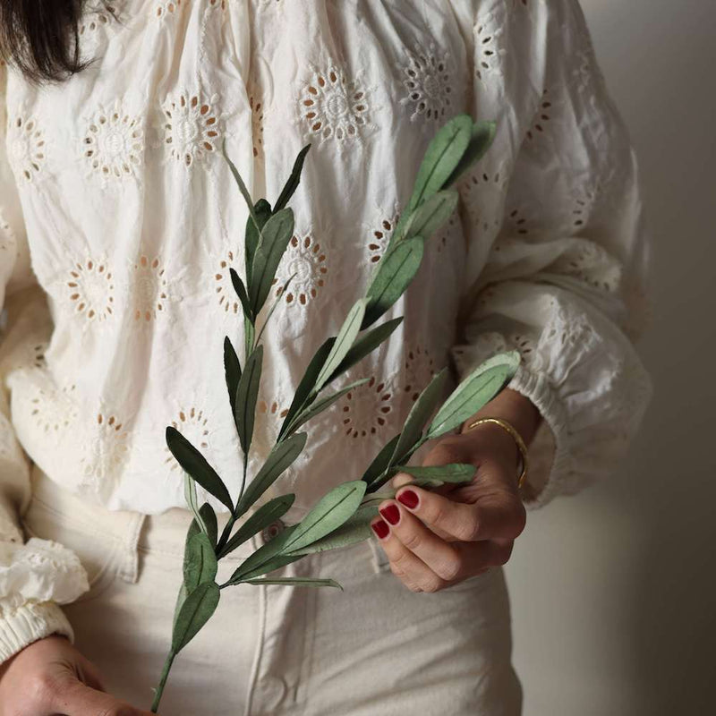 olivier-en-papier-vert