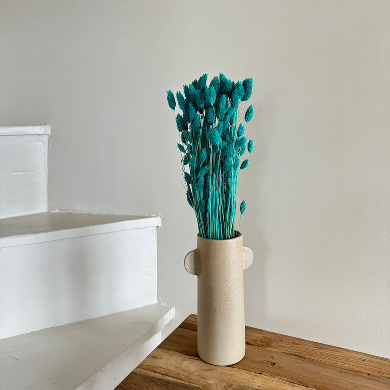 Botte fleurs séchées Phalaris Turquoise