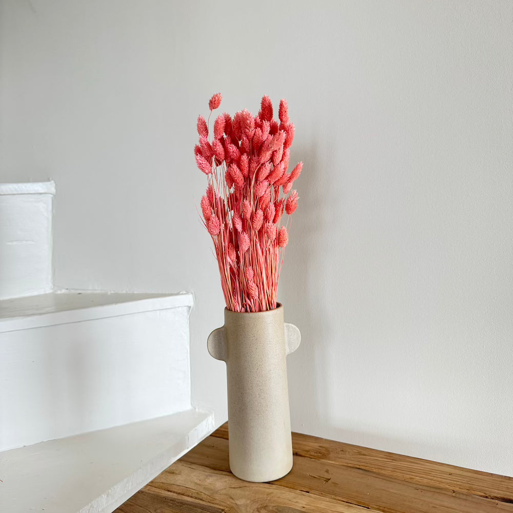 Botte fleurs séchées Phalaris Vieux rose