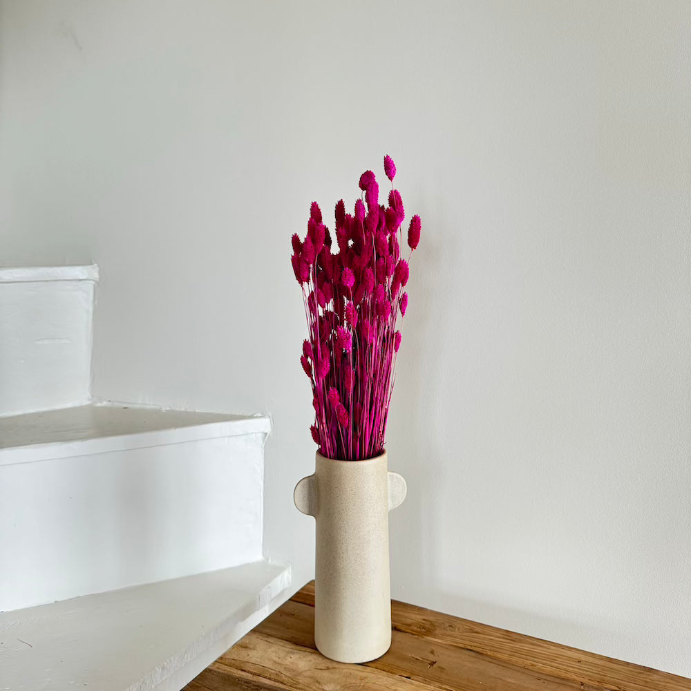Botte fleurs séchées Phalaris Magenta