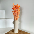 Botte fleurs séchées Phalaris Pêche