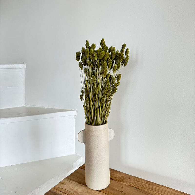 Botte fleurs séchées Phalaris Vert olive