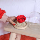rose-sous-cloche