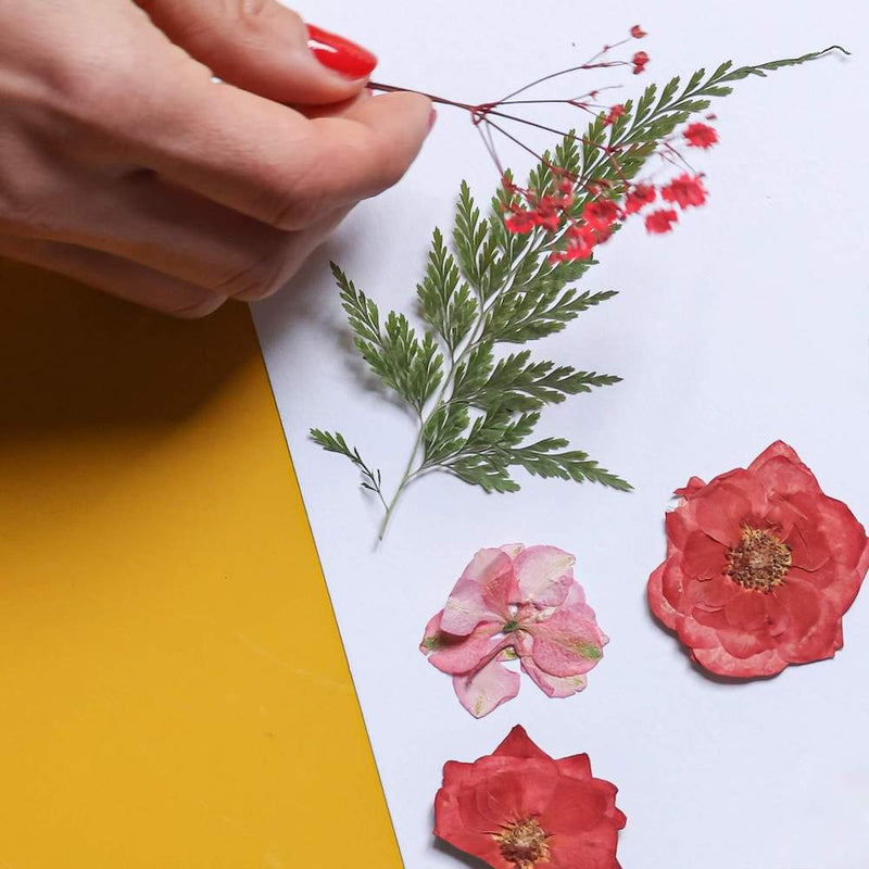 fleurs-pressee-rouge