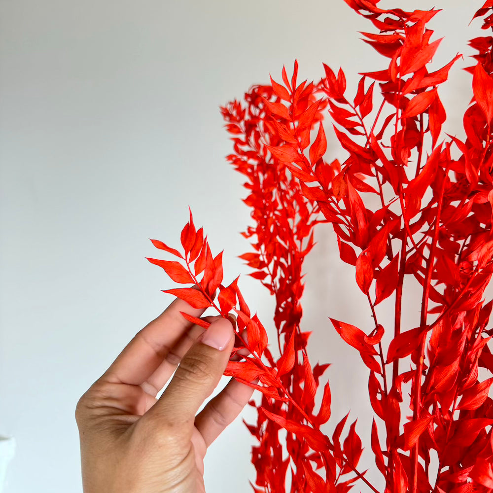 Botte fleurs stabilisées Ruscus Orange foncé