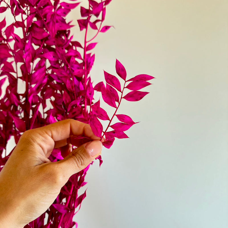 Botte fleurs stabilisées Ruscus Magenta
