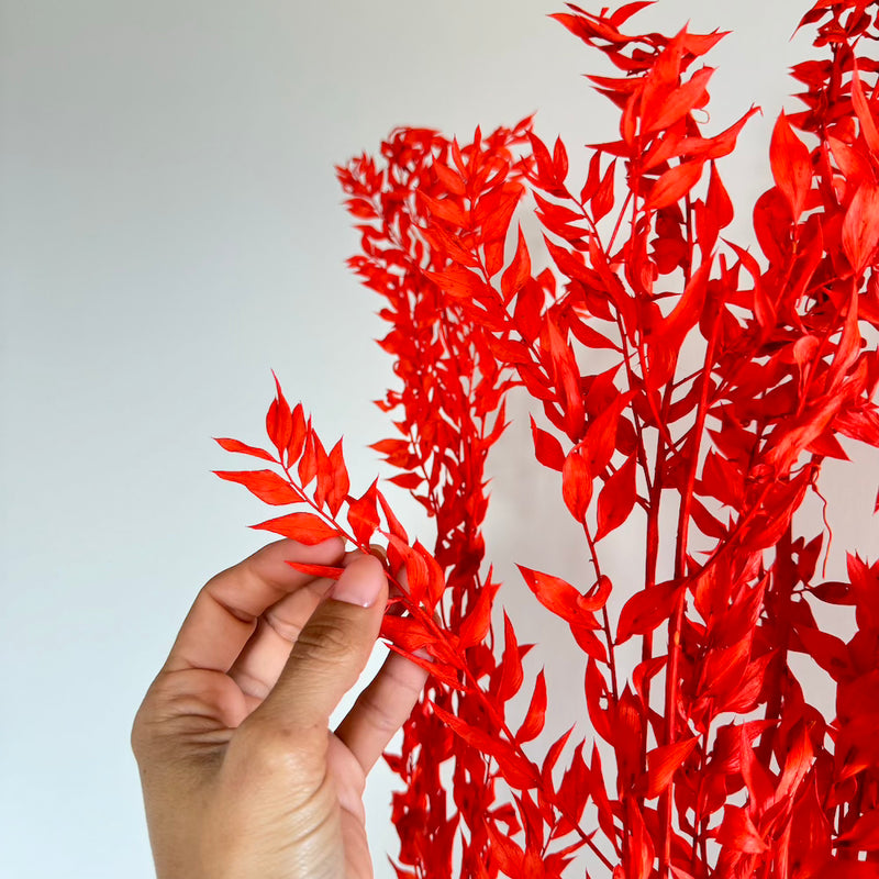 Botte fleurs stabilisées Ruscus Orange foncé