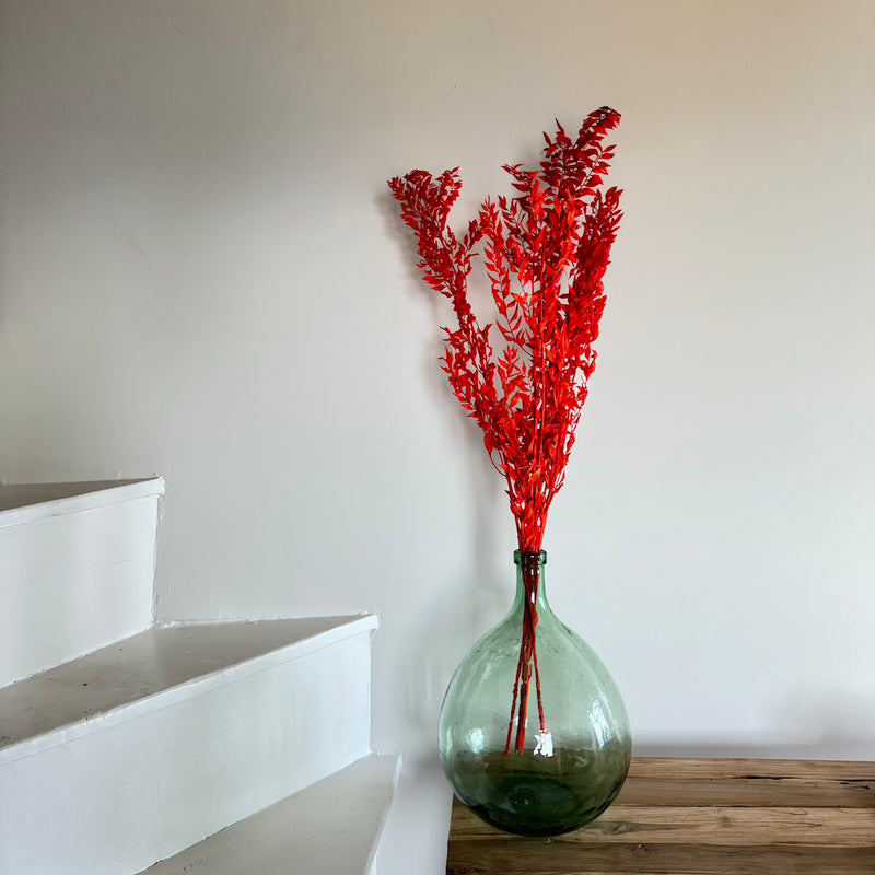 Botte fleurs stabilisées Ruscus Orange foncé