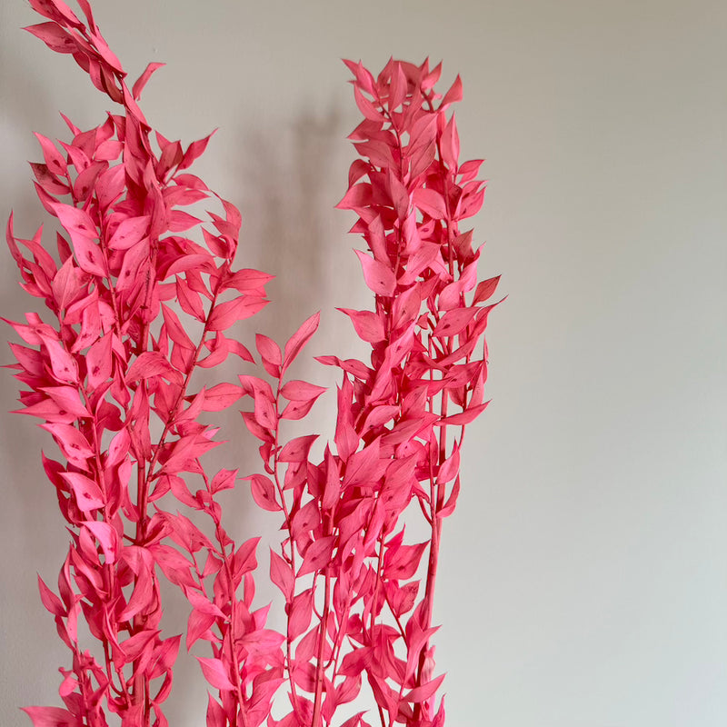 Botte fleurs stabilisées Ruscus Vieux rose