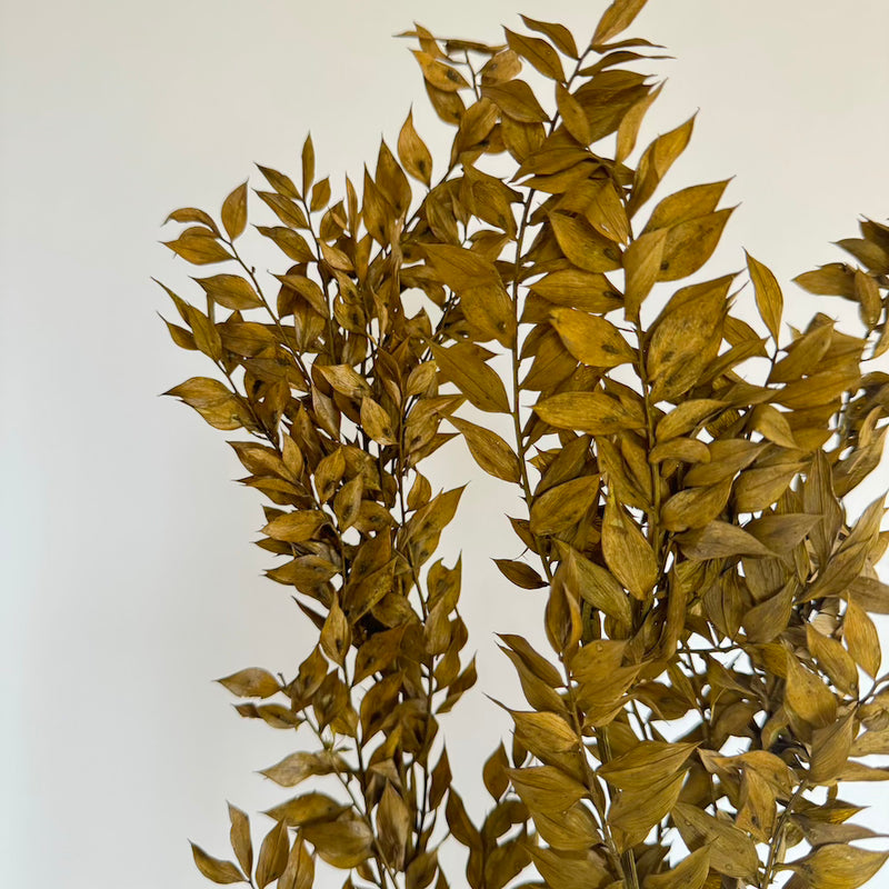 Botte fleurs stabilisées Ruscus Vert olive