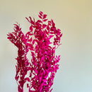 Botte fleurs stabilisées Ruscus Violet