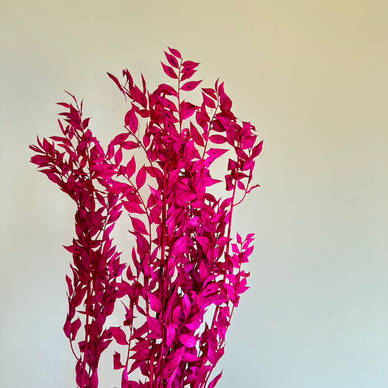 Botte fleurs stabilisées Ruscus Violet