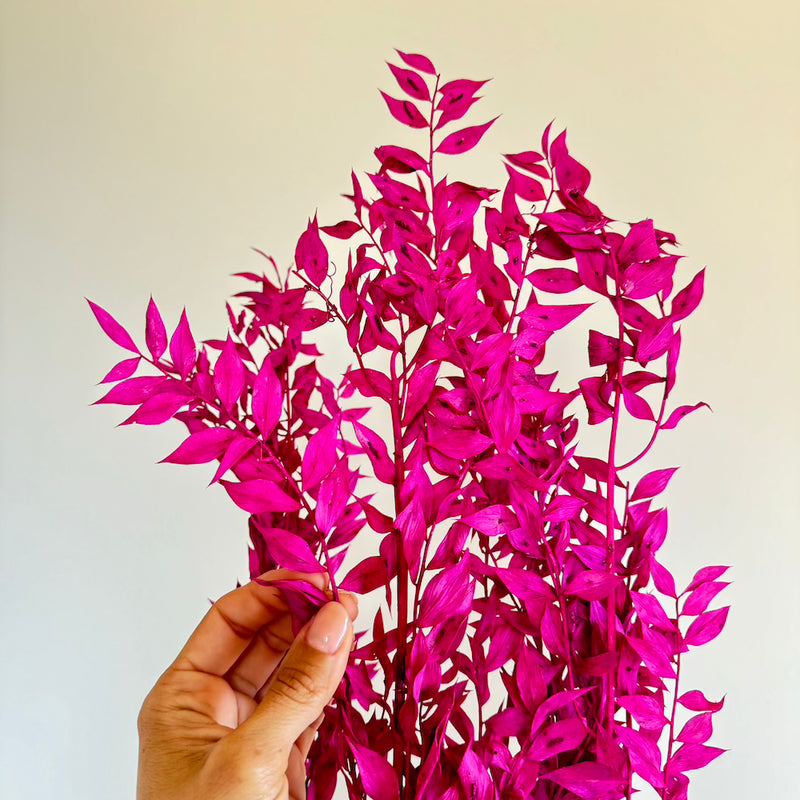 Botte fleurs stabilisées Ruscus Violet