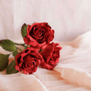 Bouquet en papier Rouge Éclatant