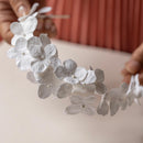 petit-serre-tete-blanc