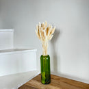 Botte fleurs séchées Sétaire Blanc