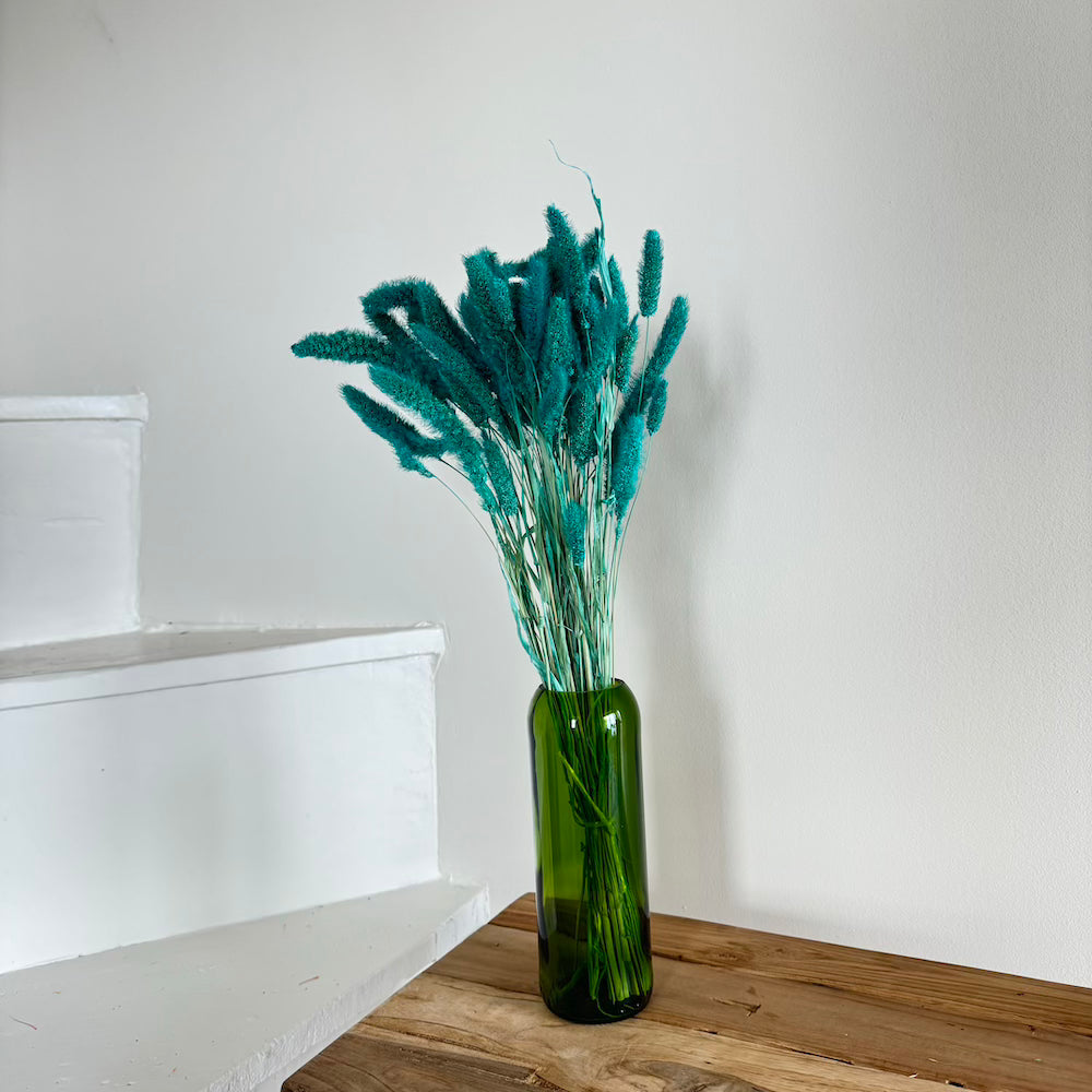 Botte fleurs séchées Sétaire Turquoise