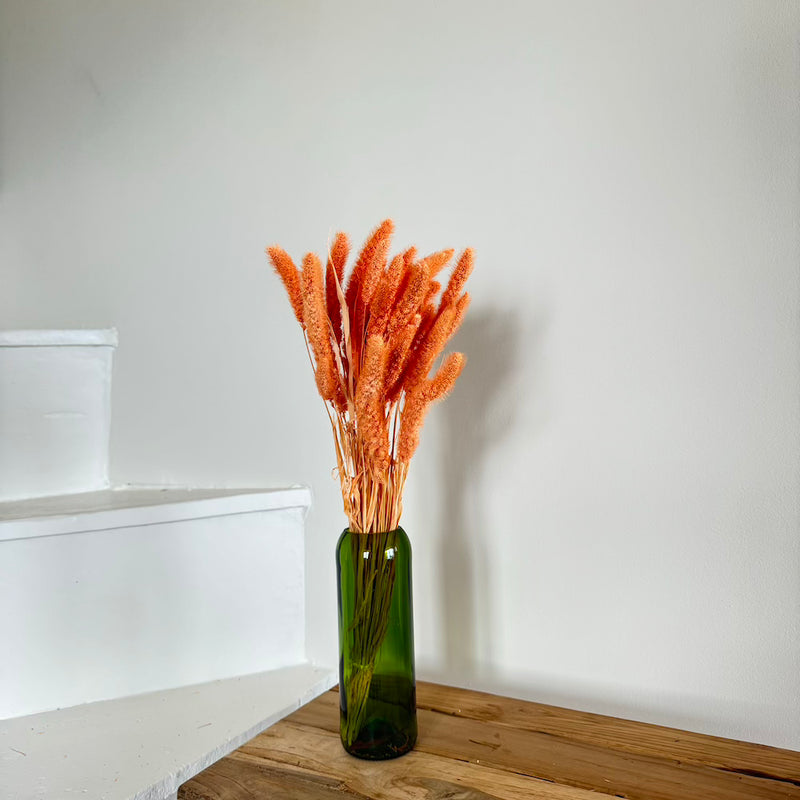 Botte fleurs séchées Sétaire Pêche