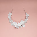 petit-serre-tete-blanc