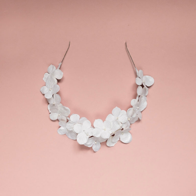 petit-serre-tete-blanc