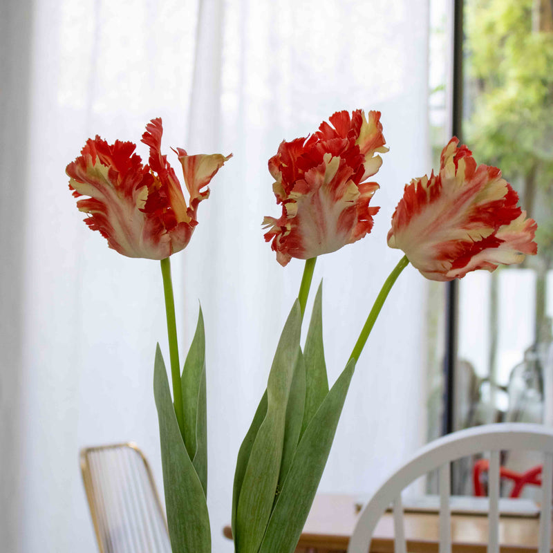 Tulipe perroquet orange artificielle à la tige, fausse fleur déco x3, fleur synthétique réaliste, fleur real touch Flowrette