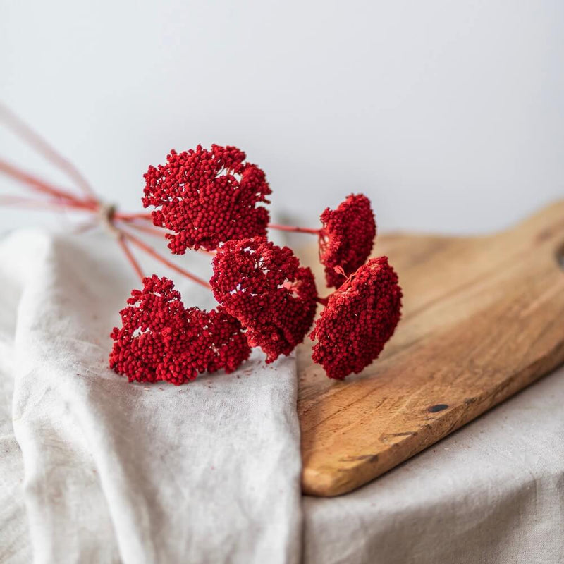 botte-fleurs-sechees-achilee-rouge-flowrette