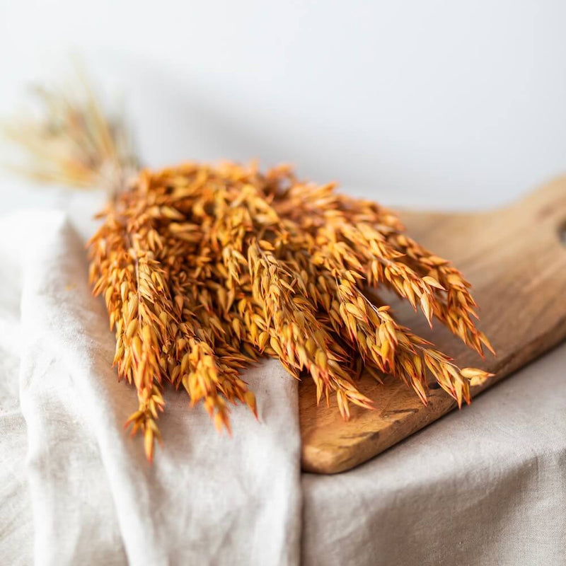 botte-fleurs-sechees-avoine-orange-flowrette