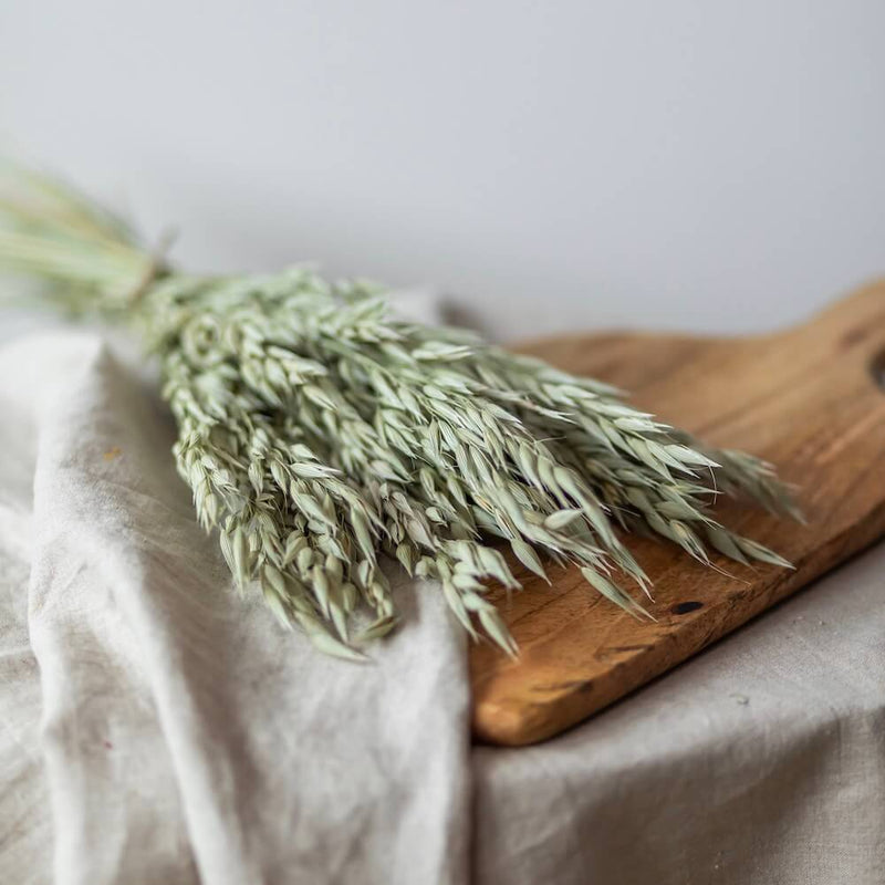 botte-fleurs-sechees-avoine-naturel-flowrette