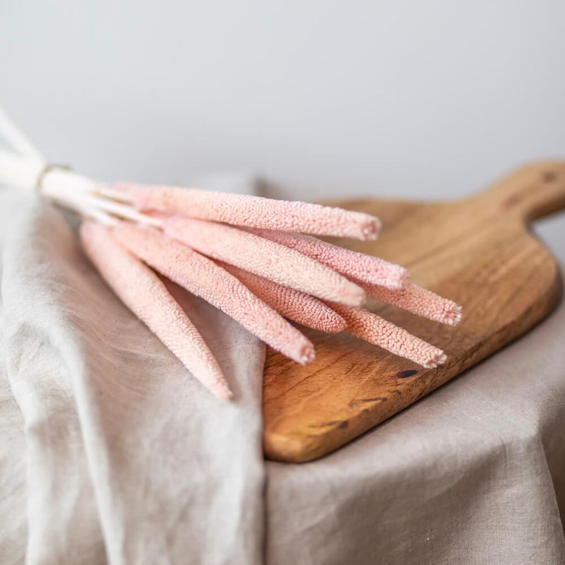 botte-fleurs-sechees-babala-rose-flowrette