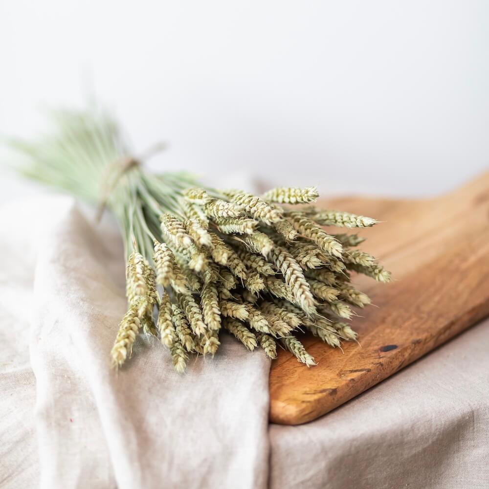 Botte fleurs séchées Blé vert