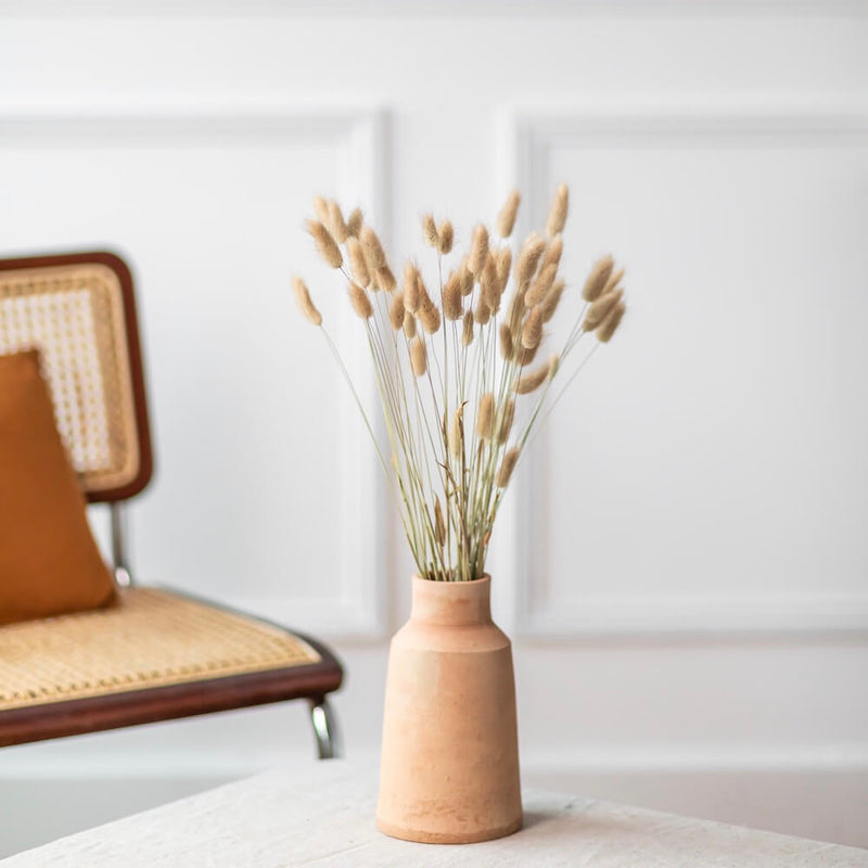 lagurus-naturel-botte-fleurs-sechees