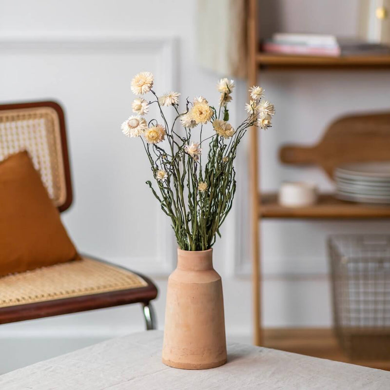 immortelle-blanche-botte-fleurs-sechees