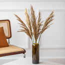 botte-fleurs-sechees-pampa-flowrette