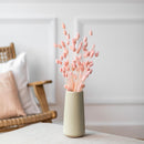 botte-fleurs-sechees-phalaris-rose-poudre-flowrette