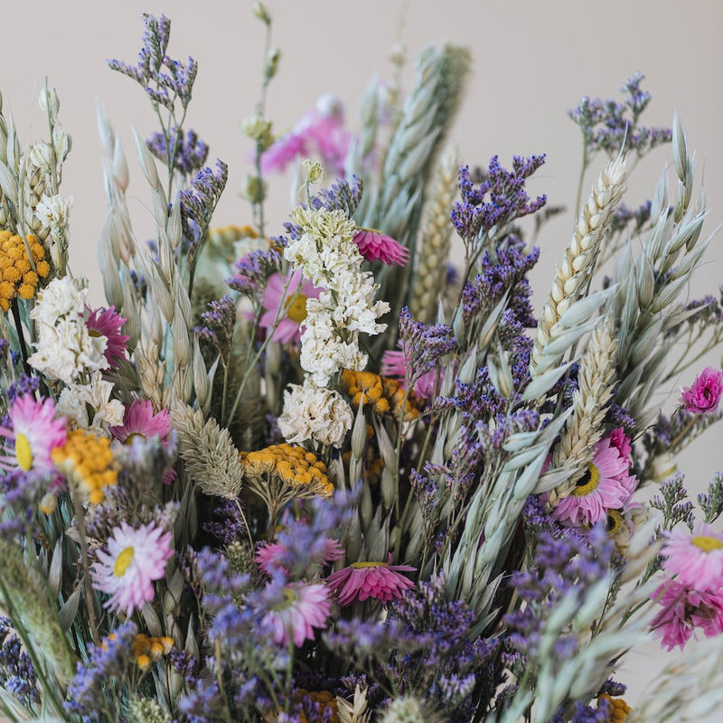 fleurs-sechees-printemps