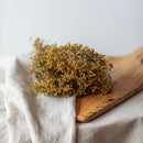 botte-fleurs-sechees-broom-bloom-naturel-flowrette