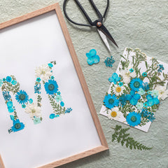 Kit DIY herbier abécédaire bleu