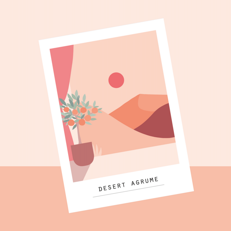 carte-flowrette-pramax-desert-agrume