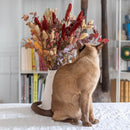 deco-fleurs-sechees-rouge-palm