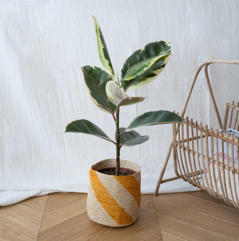 panier-raphia-jaune-17cm