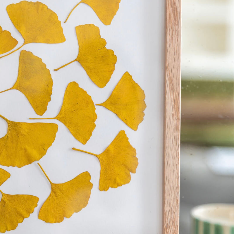 hebrier-fleurs-feuilles-ginkgo