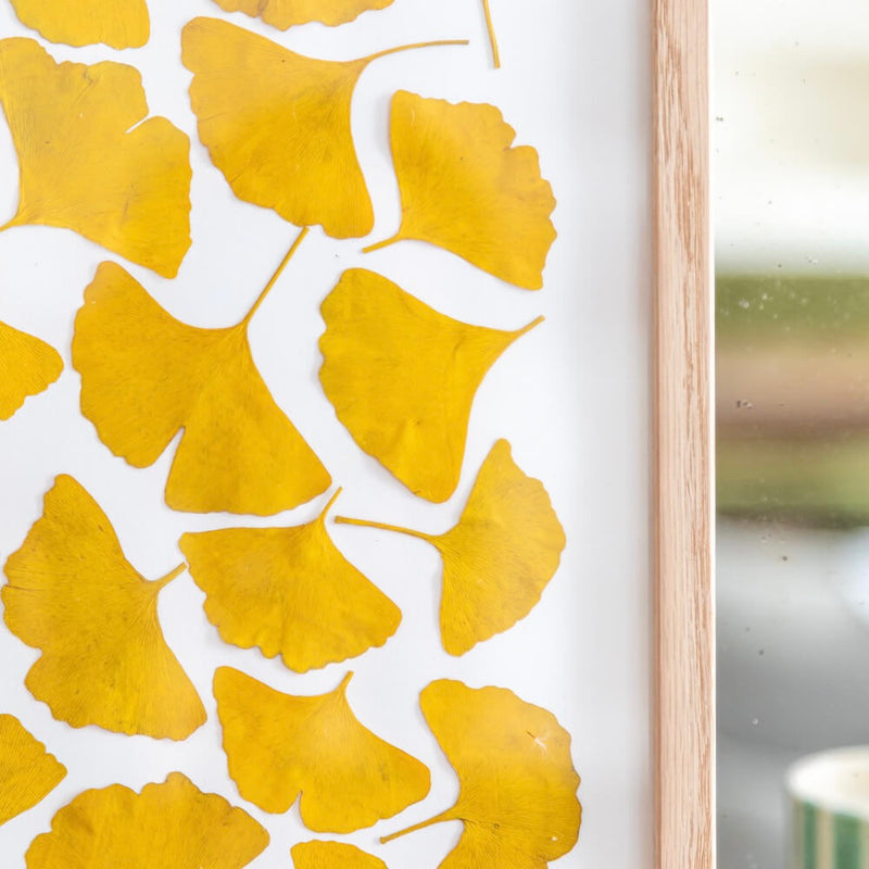 herbier-fleurs-sechee-flowrette-ocre