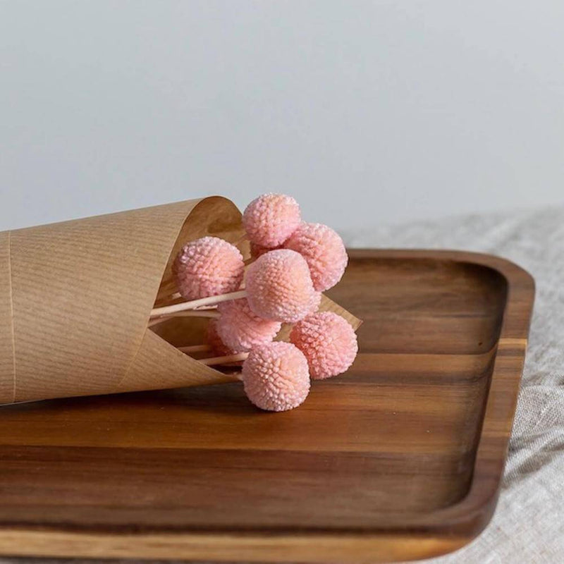 Botte fleurs stabilisées Craspedias roses