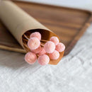 Botte fleurs stabilisées Craspedias roses