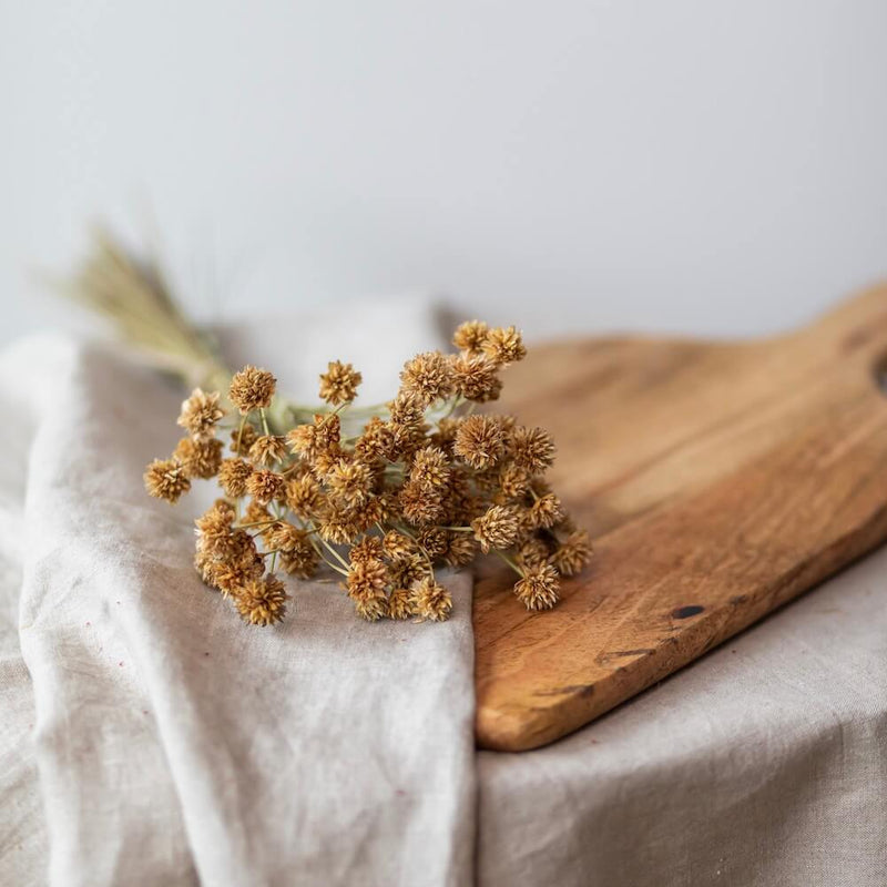 botte-fleurs-sechees-hill-flower-naturelle-flowrette