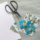 kit-diy-herbier-fleuris