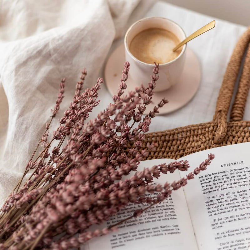 lavande-stabilisee-rose