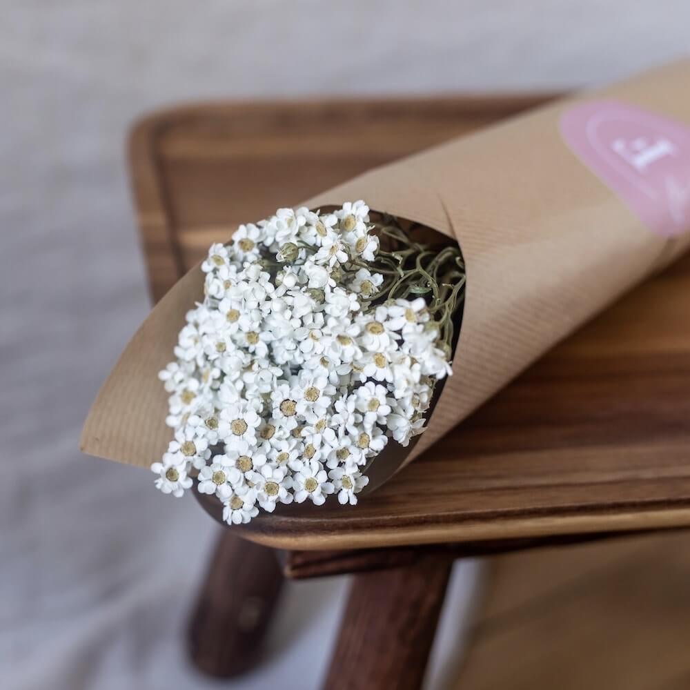 Botte fleurs séchées Oxodia blanc
