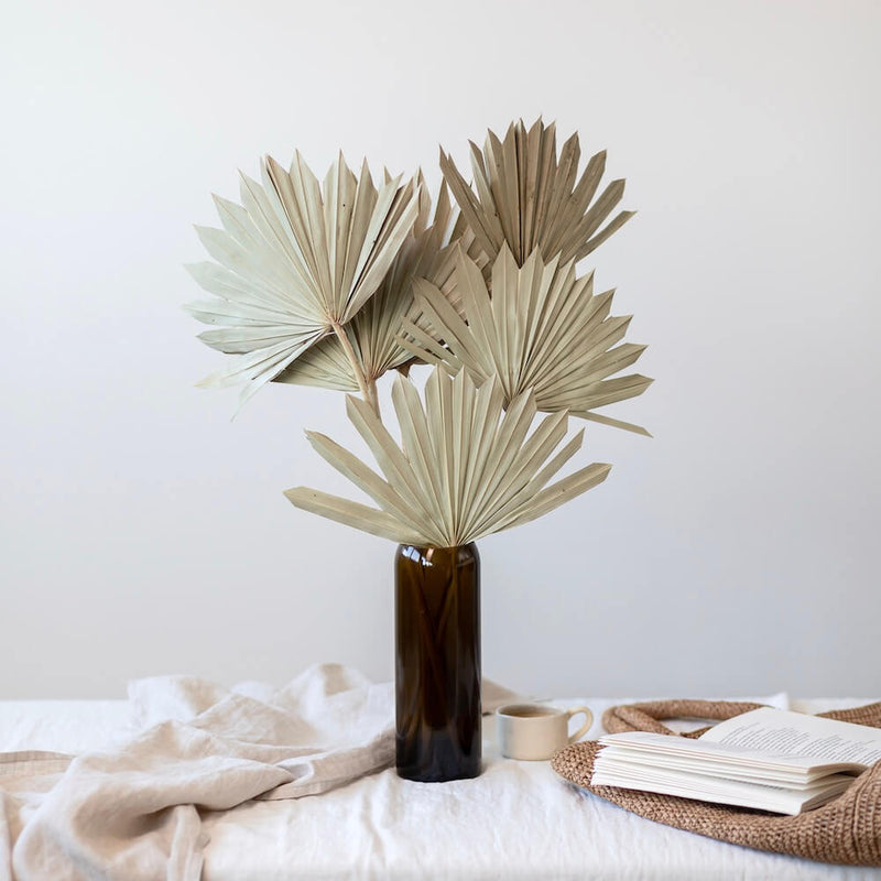 feuilles-palmier-sechees